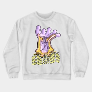 Coral Polyp Anatomy Diagram - Marine Biology Illustration Crewneck Sweatshirt